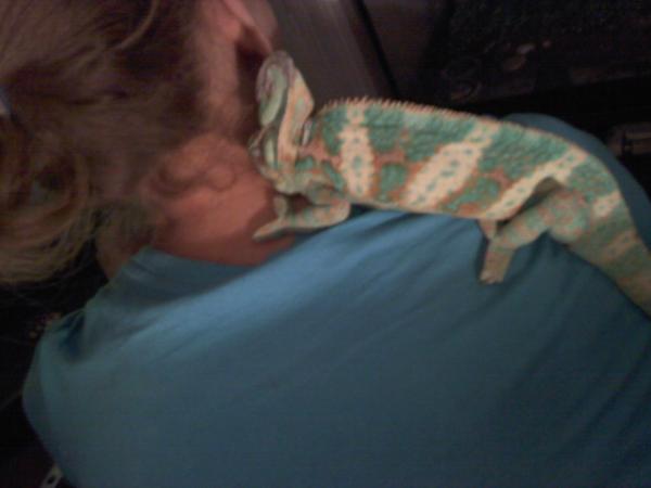 asleep on my shoulder