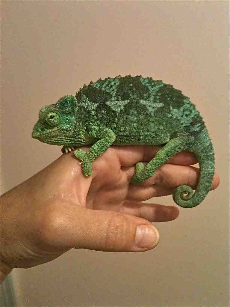 Astrid Chillin' With Mom