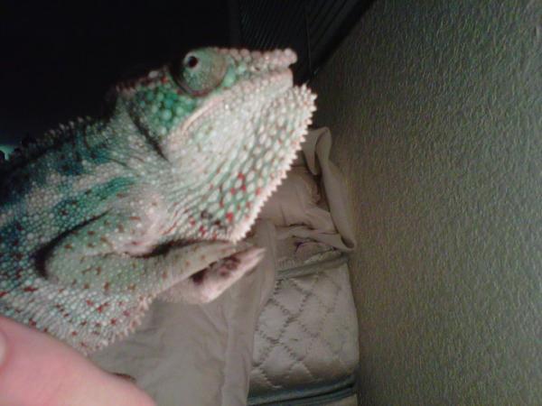 At about 7 months.