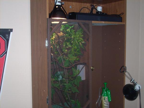 Athena's cage