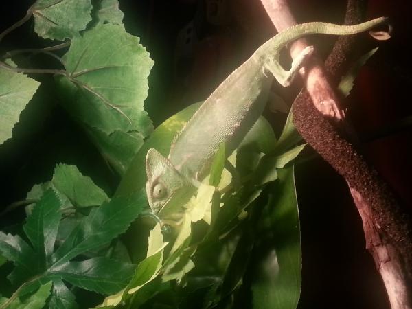 August 1/2013 Day 2 recovery