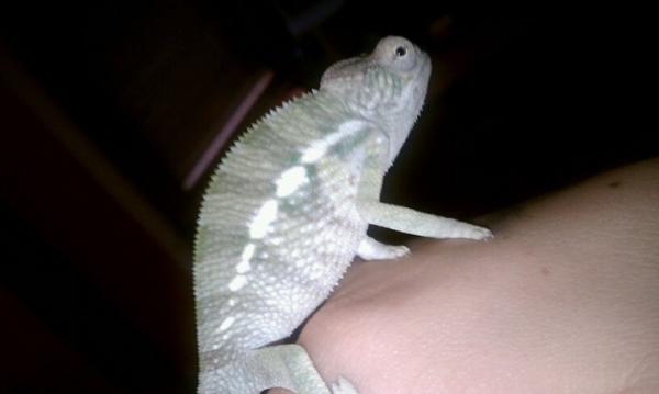 August 21, 2010 - 5 months old