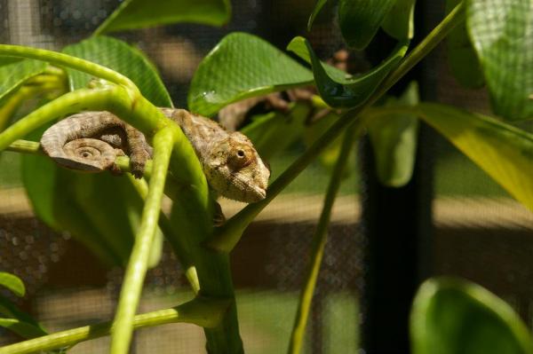 Babies outside.