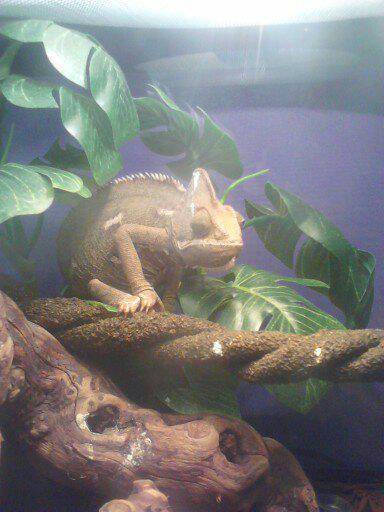 Baby 5
