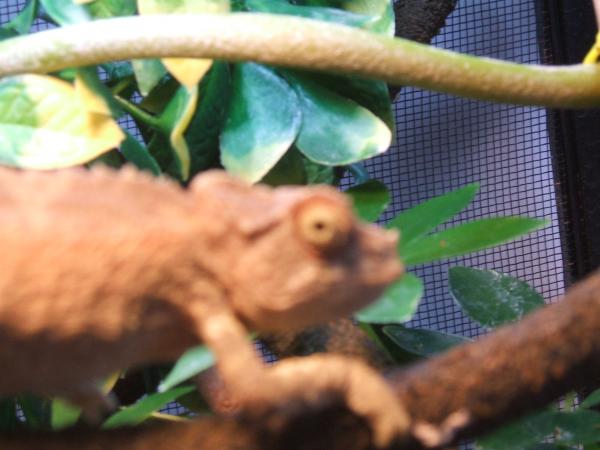 Baby at almost 6 months 2/20/12