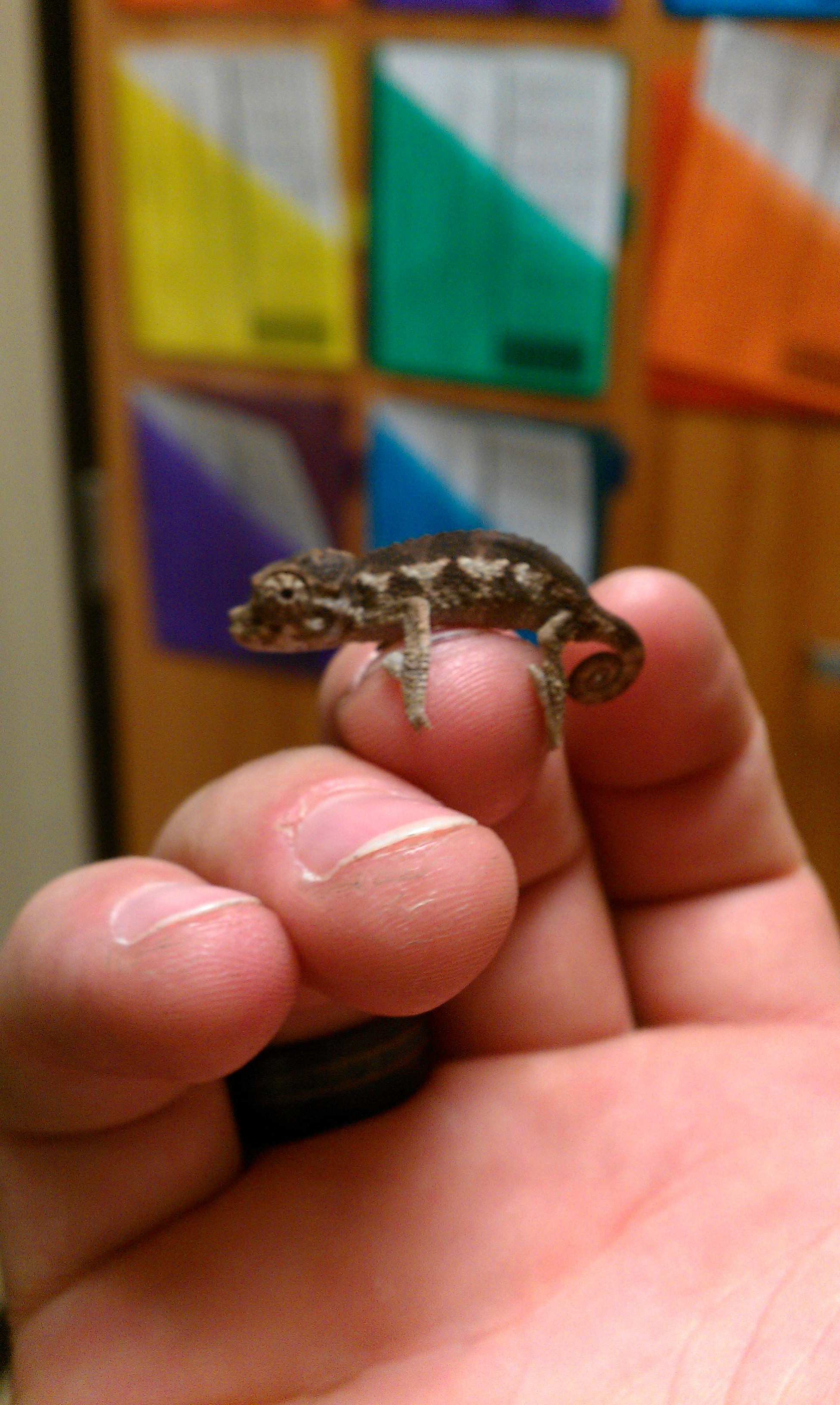 Baby Jackson's...3 Days Old