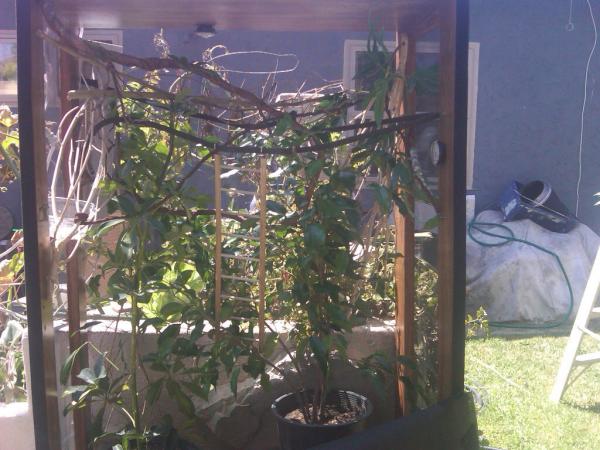 baby mellers indoor cage out side for photos