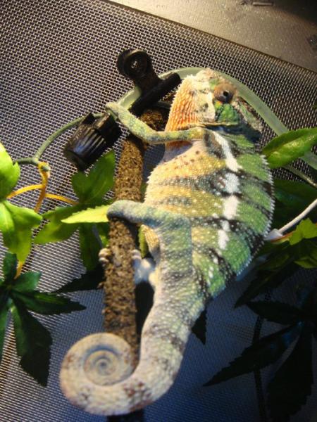 Basking and irritated!