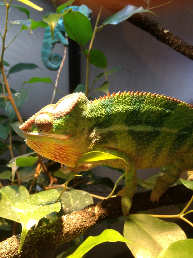 Basking Away