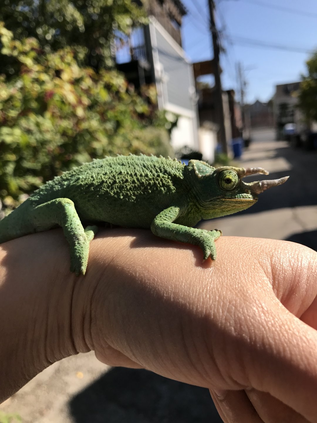 Basking outside