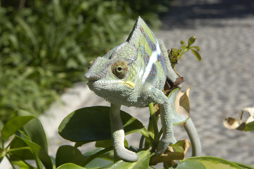 BB Ambanja at 9 months