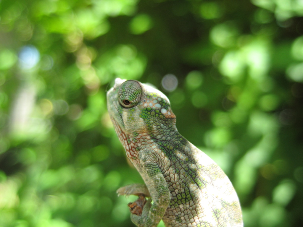 Beauty Is In The Eye Of The Beholder.