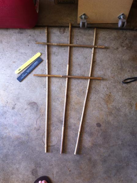 Before assembly, preview of trellis, and had to sand and file down the rough cut edges for Kimo's safety.