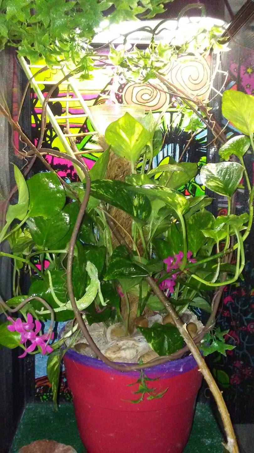 Billie Billie Billie