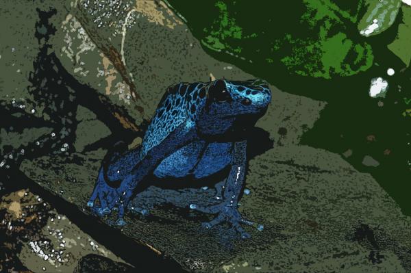 Blue Frog