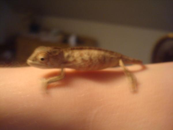 Blurry