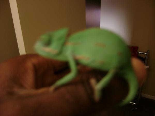 Blury pic of Apple