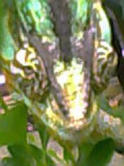 Bob`s GQ magazine cover shot.