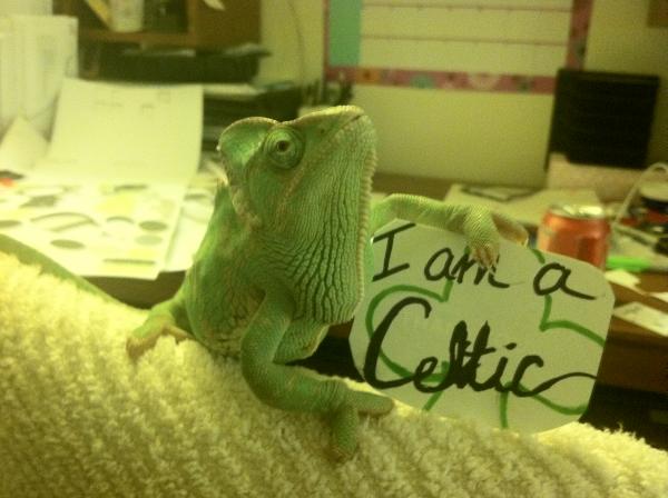 Boston Celtic's twitter contest pic...didn't win, but the Celtics did favorite my tweet/photo :)