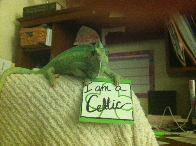 Boston Celtics Twitter Photo Contest (12/2011)