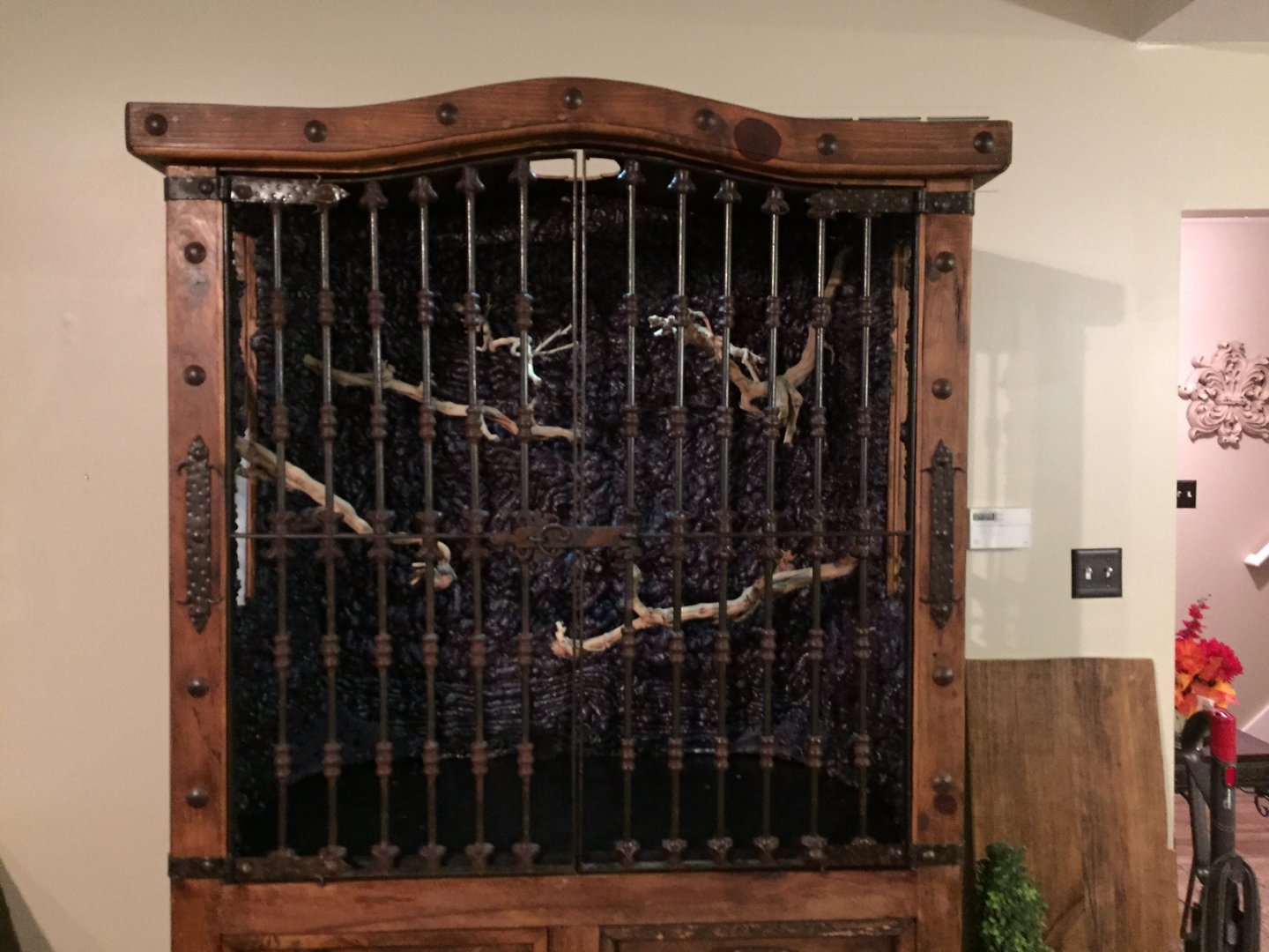 branches in doors closed.JPG