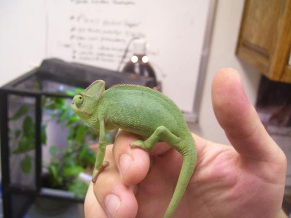 Brand new little guy!