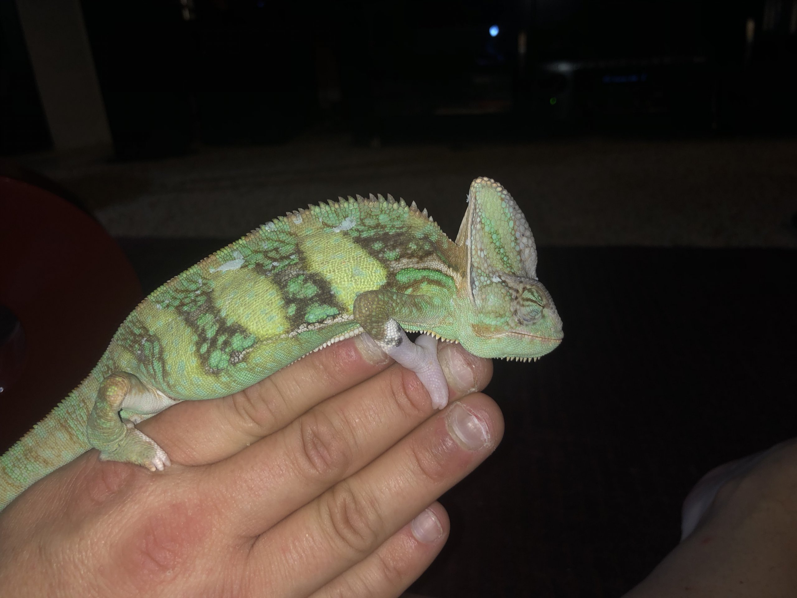 Bright colors showing