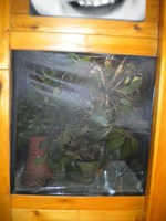 Built In Terrarium