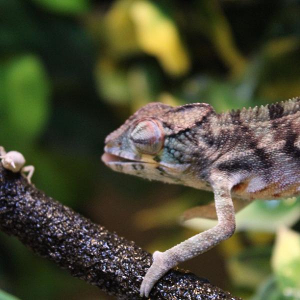 c588221cb9e911e2b6c722000a9d0edd 7