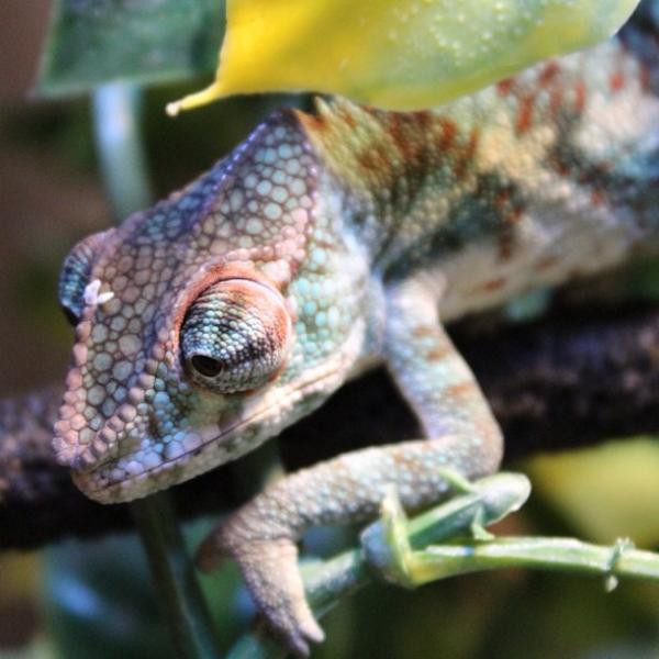 cacd1096c4ea11e2881122000a9f12f2 7