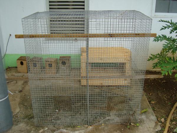 Cage Setup