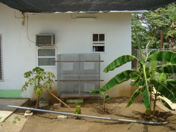 Cage under Shade cloth