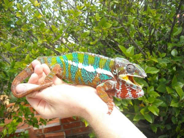 Calming down
3/9/2013