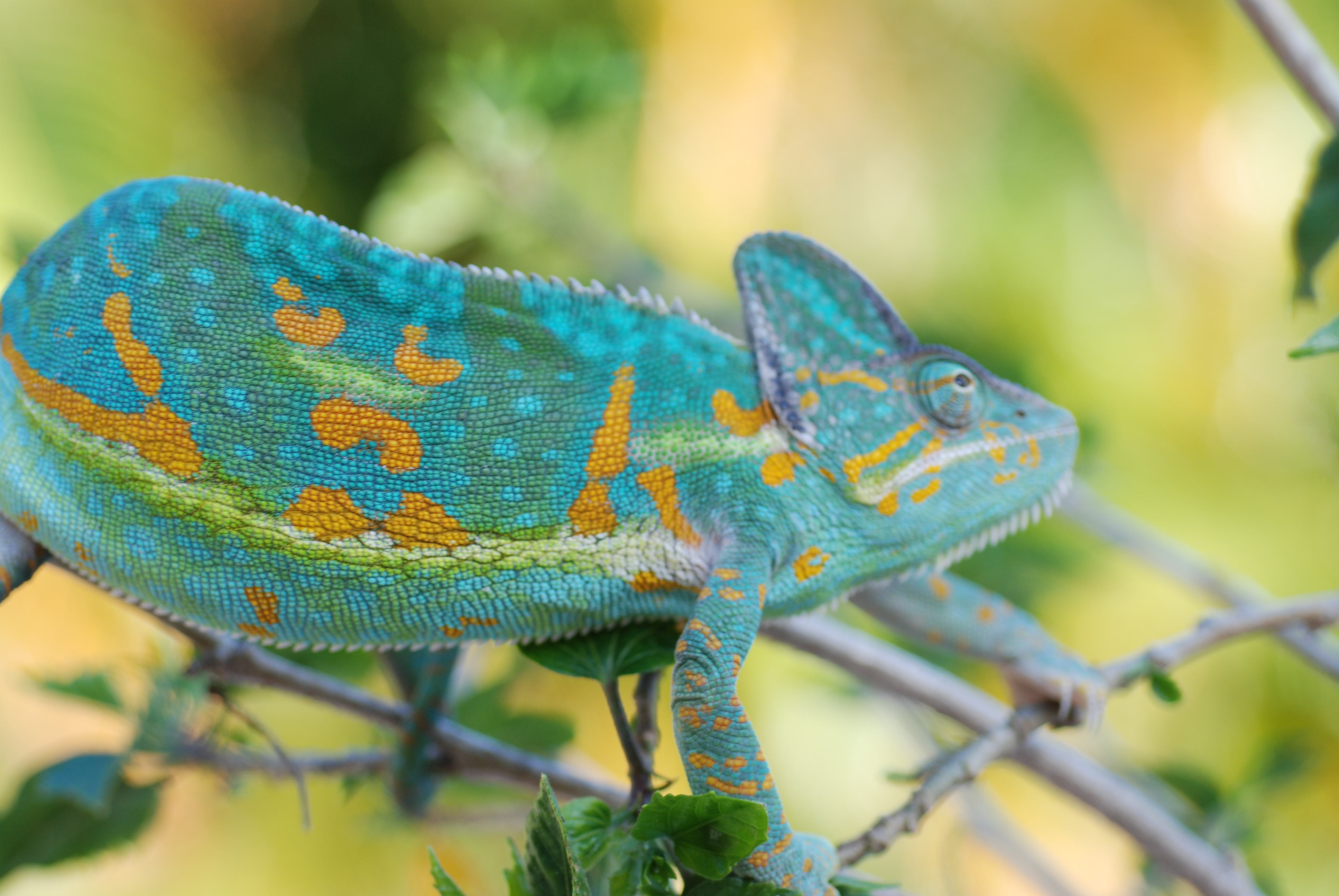 Camille Showing Her Beautiful Colors