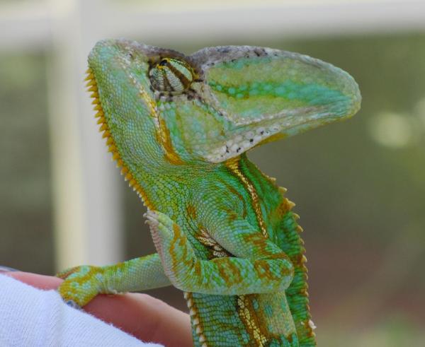 Can I reach up there?