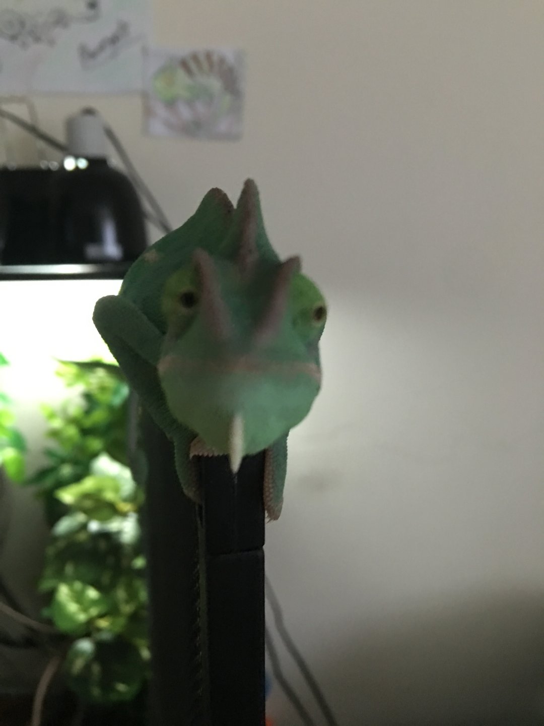 "Can u change the channel?"