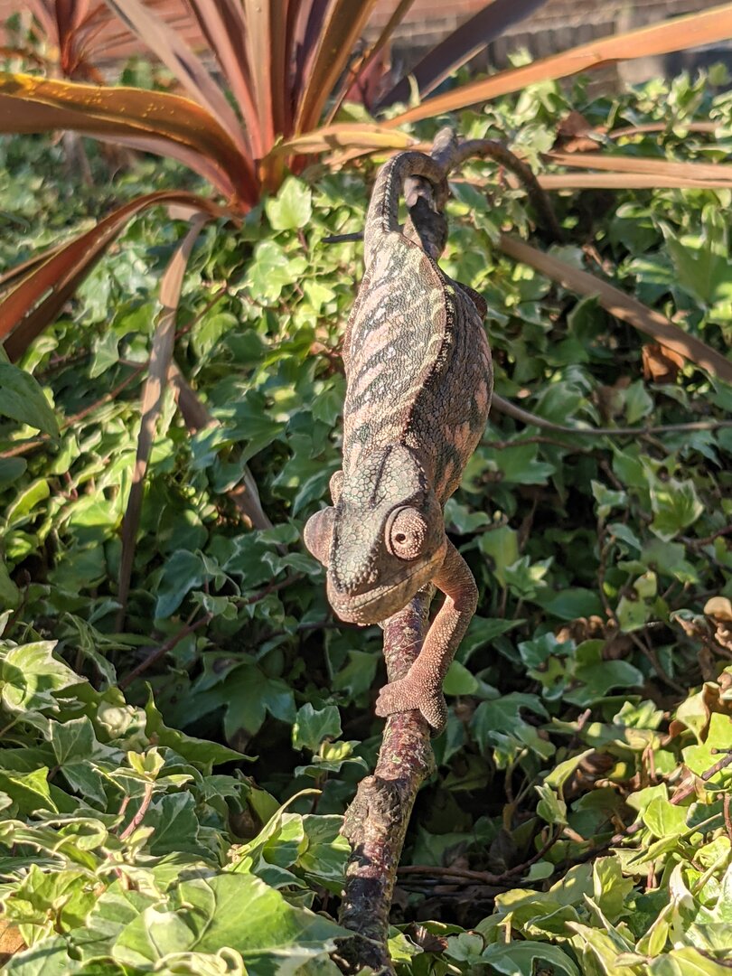 Cant keep my eyes from the circling sky's