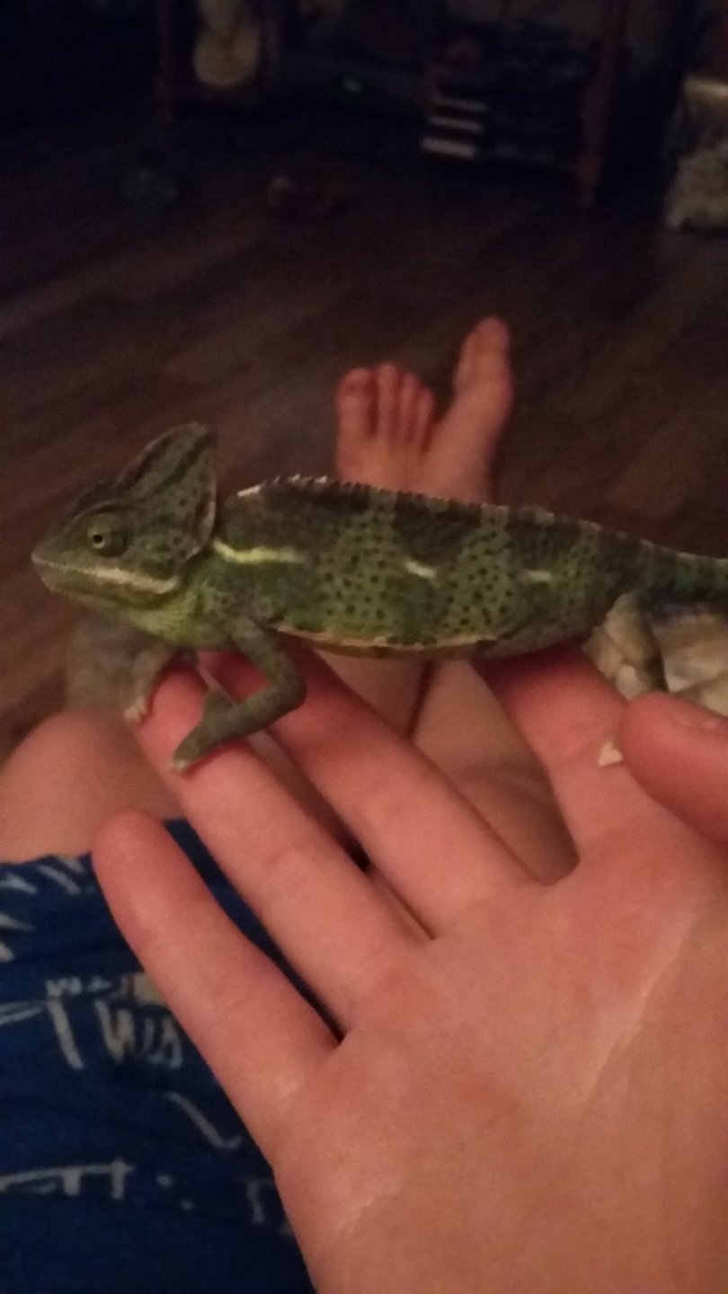 Carmen is so pretty when she's angry!