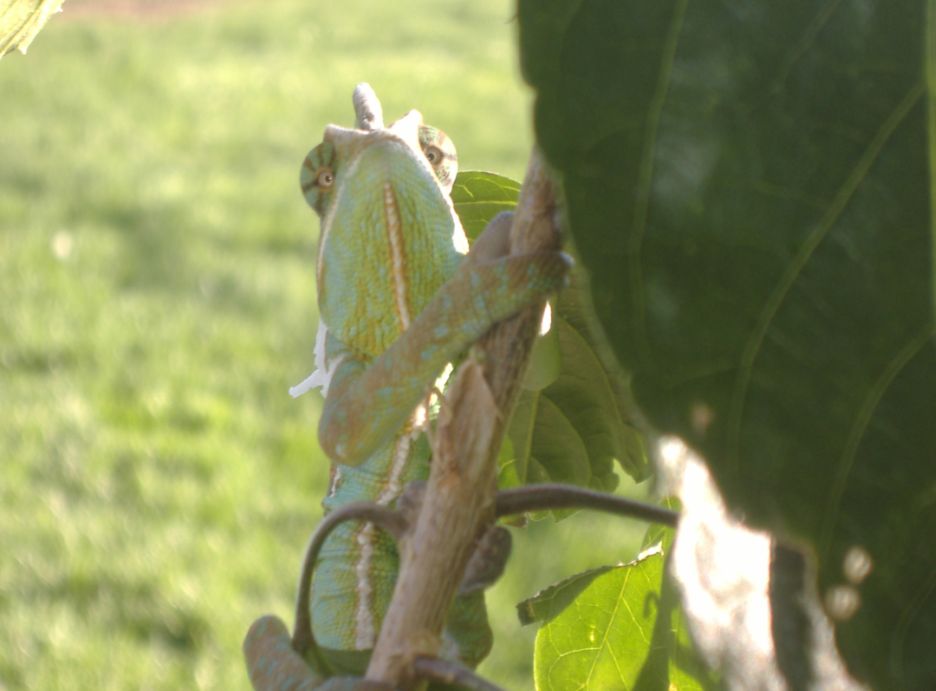 Catchin some Rays