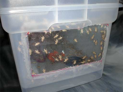 Catchin' the breeze!