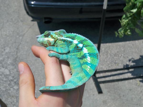 catching some rays