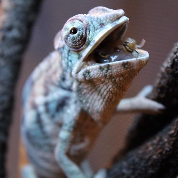 cc6dd69cbfef11e286c222000a1fbc86 7