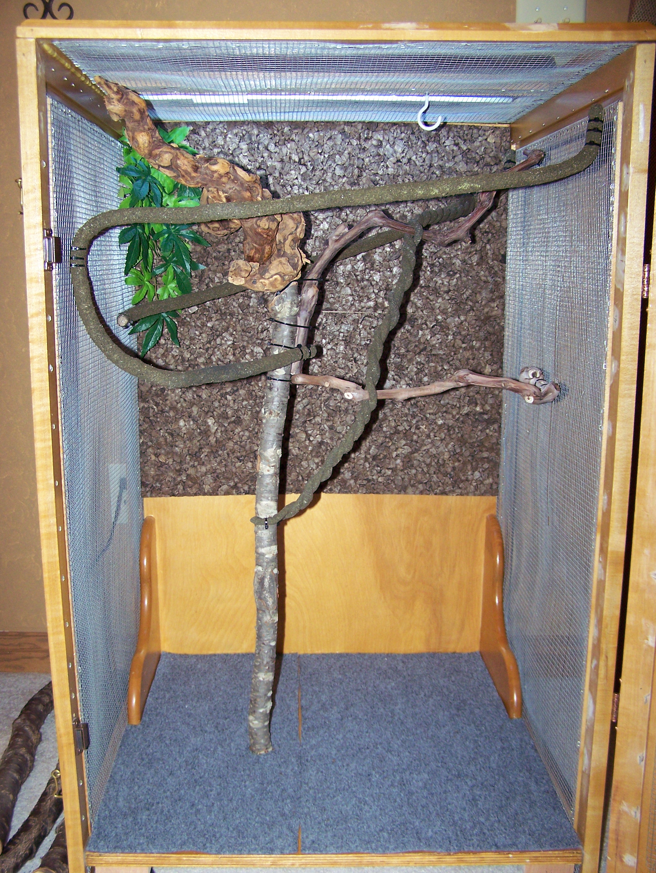 Chameleon Cage
