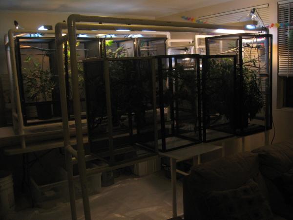 Chameleon cages 2011 001