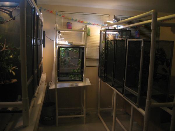 Chameleon cages 2011 003