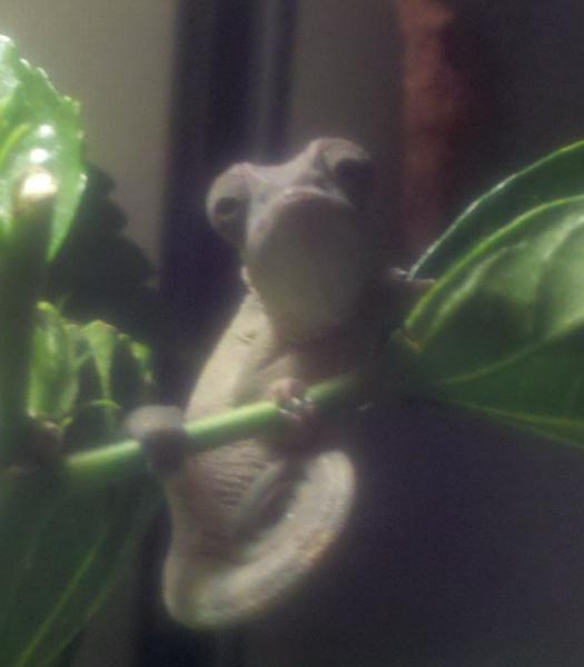 Chamilli as a baby
