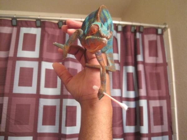 Chamillonaire holding his Q-tip