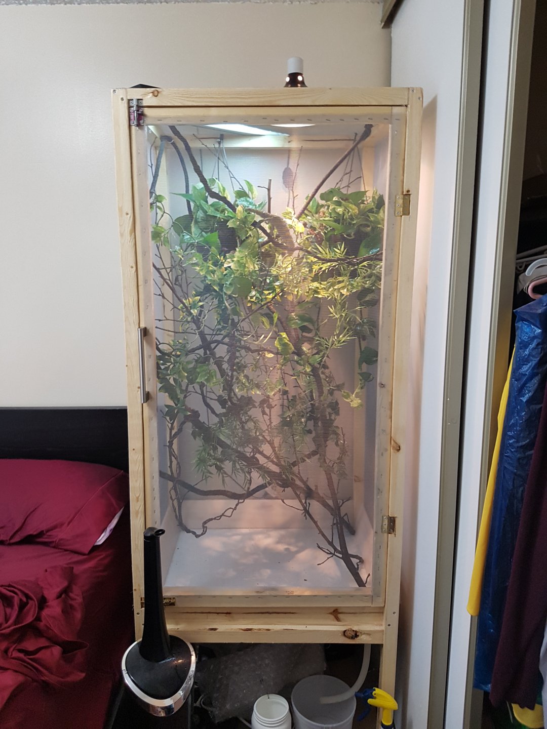 Chandler's Adult Cage Version 1.0