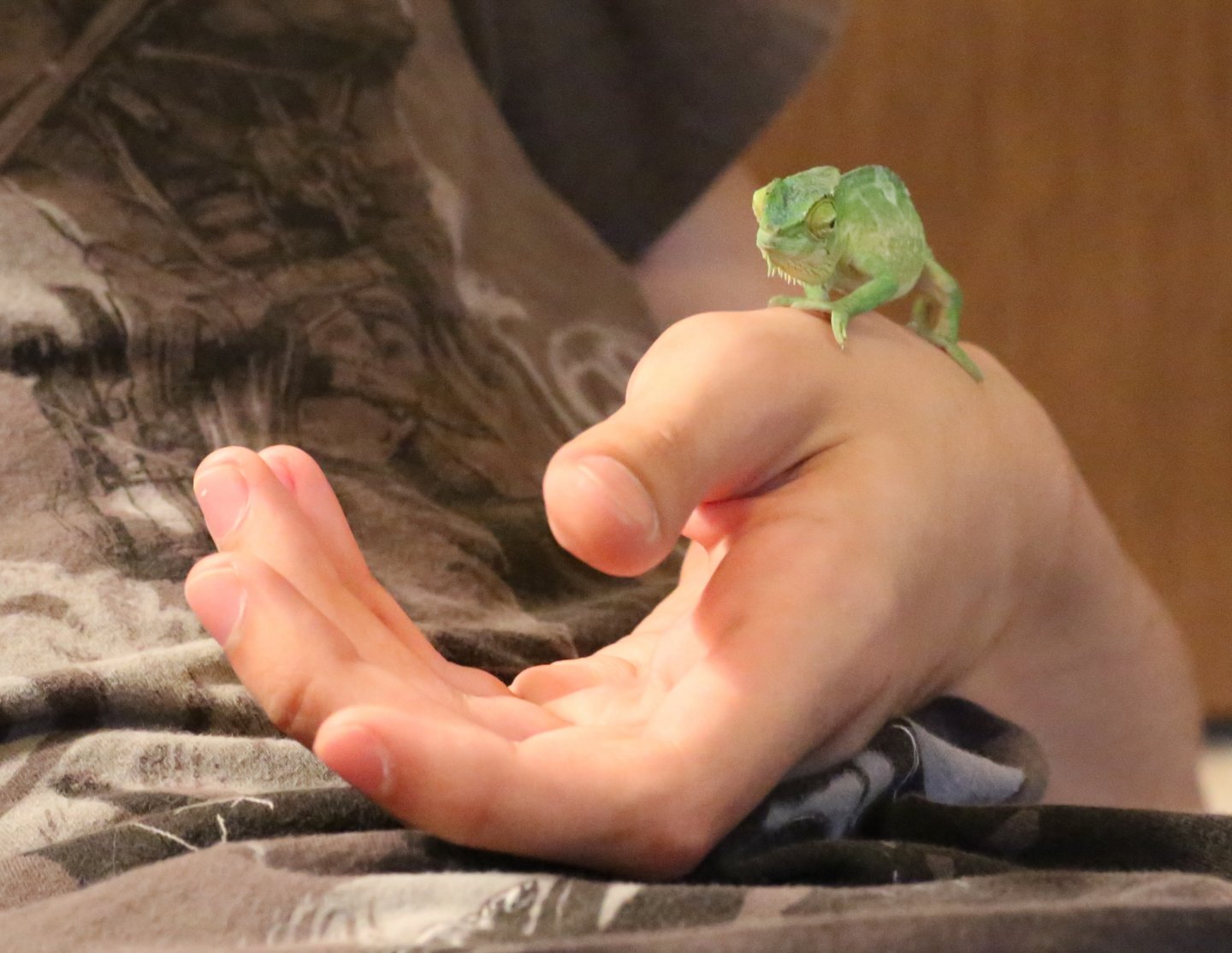 Chaney and his servant