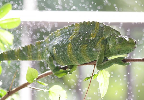 Charlotte, November 2013